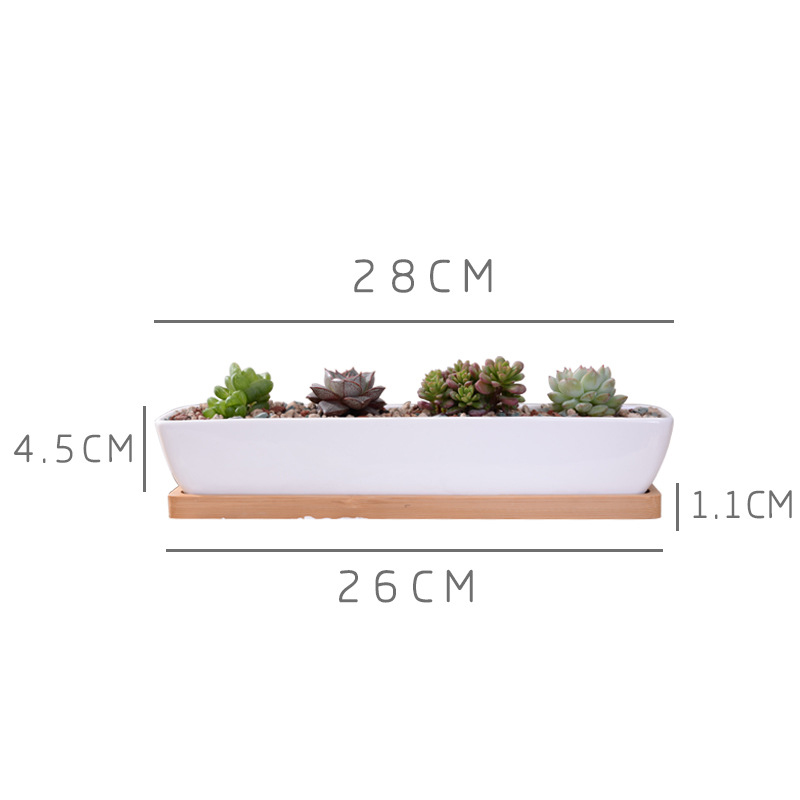 Vaso de plantador suculento de - Desk Setup Green avaliação e preço