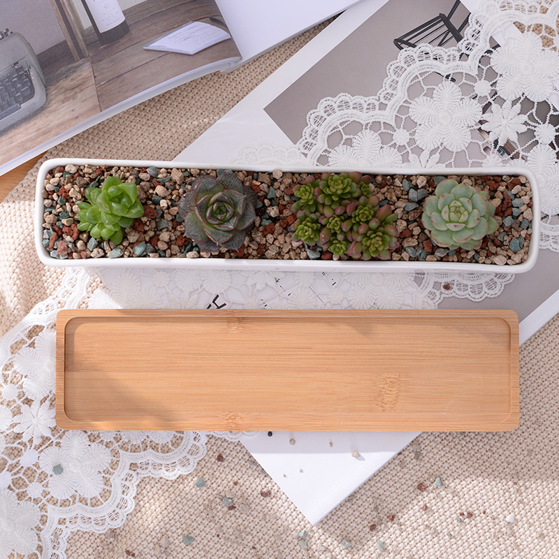Vaso de plantador suculento de - Desk Setup Green avaliação e preço